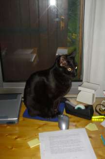 DSC02804.JPG